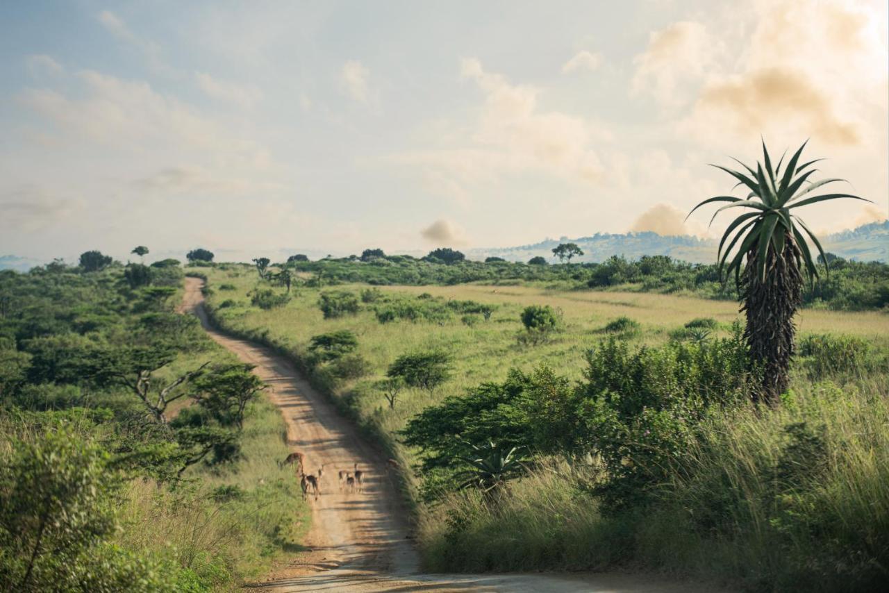 Tala Collection Game Reserve Silverton المظهر الخارجي الصورة