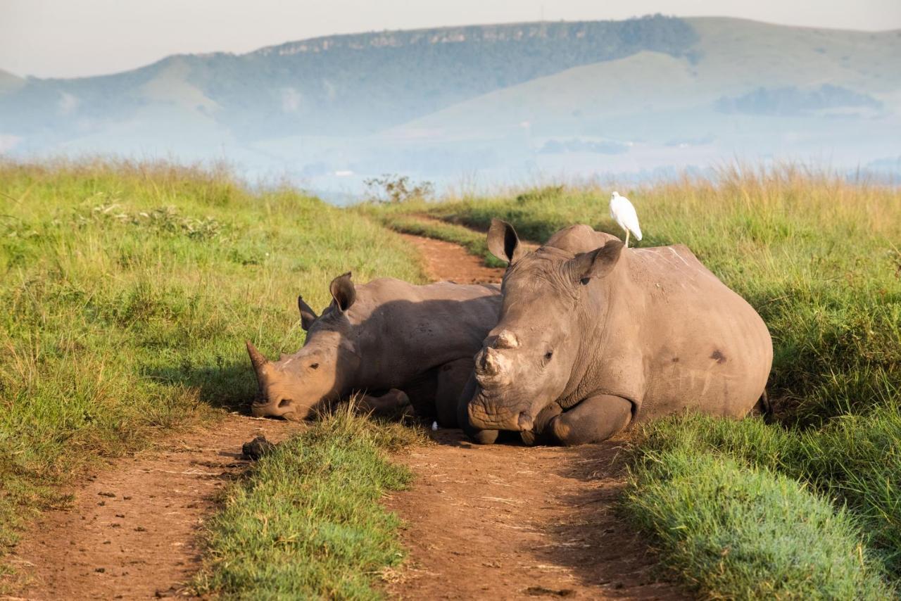Tala Collection Game Reserve Silverton المظهر الخارجي الصورة